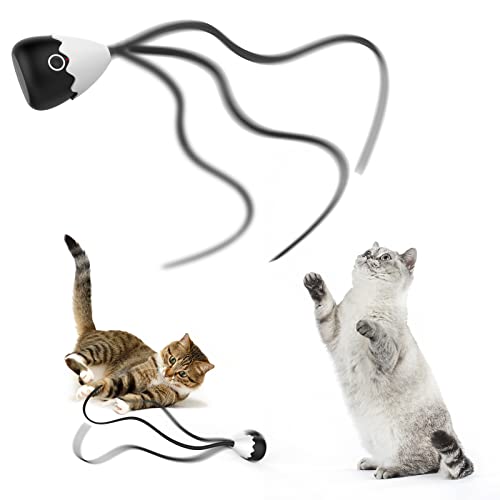 Rolorat automatic hot sale cat toy