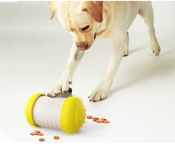 Pet Slow Feeder Treat Dispensing Toy
