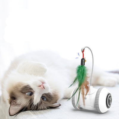 Interactive Interchangeable Cat Toy With Feather