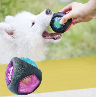 Dog Light Up Bounce Ball Toy
