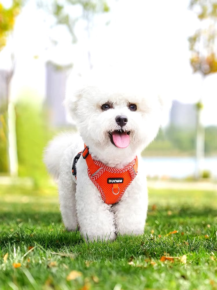 No Pull Reflective Harness & Leash For Small & Medium Dogs