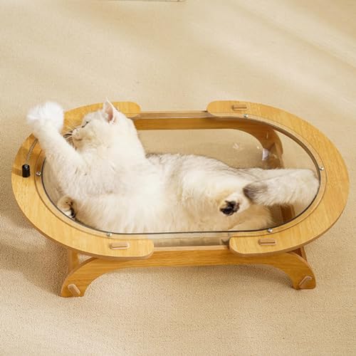 Cat Capsule Spaceship Bed