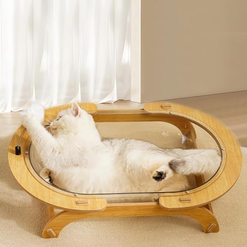 Cat Capsule Spaceship Bed