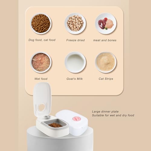 Pet Automatic Timed Feeder