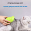 Cat Spray Mist Grooming Brush