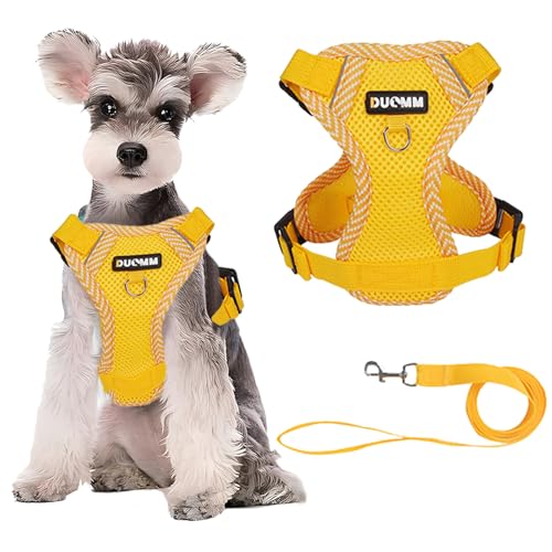 No Pull Reflective Harness & Leash For Small & Medium Dogs