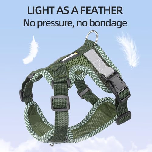 No Pull Reflective Harness & Leash For Small & Medium Dogs