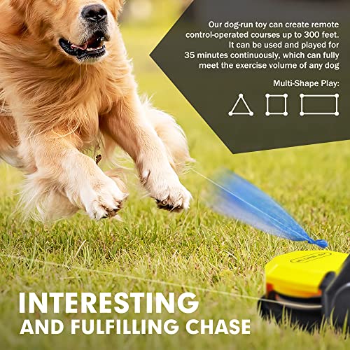Dog Agility Course Training Machine