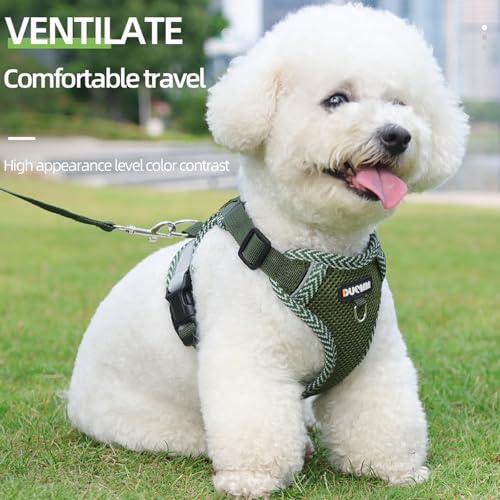 No Pull Reflective Harness & Leash For Small & Medium Dogs