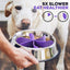 Dog Slow Feeder Silicone Spiral Insert Feeder