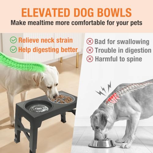 Dog Adjustable Height Stand + Bowl & No Spill Water Bowl