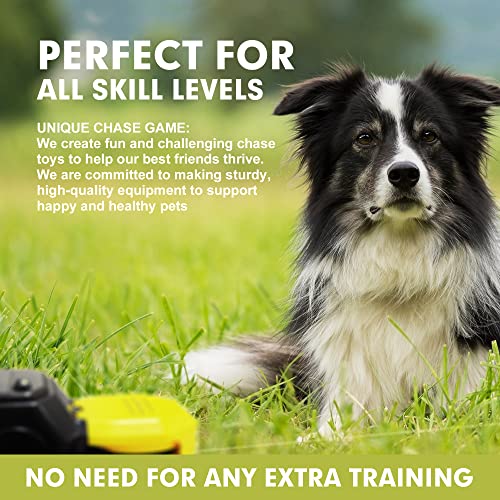 Dog Agility Course Training Machine