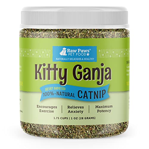 Cat Raw Paws Natural 1OZ Catnip