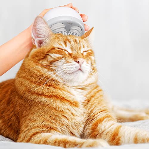 Rechargeable Infrared Relaxation Pet Massager