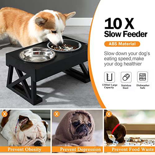 Dog Adjustable Elevated Tilted Bowl Stand