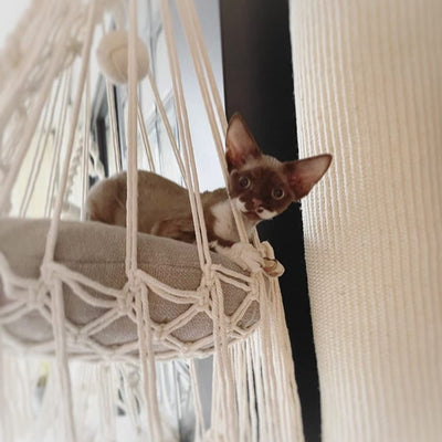 SSDHUA Handwoven Cotton Cat Dog Hammock, Indoor Outdoor Decor, Fits Small Breeds