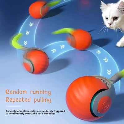 Cat Automatic Moving Ball Tail Toy