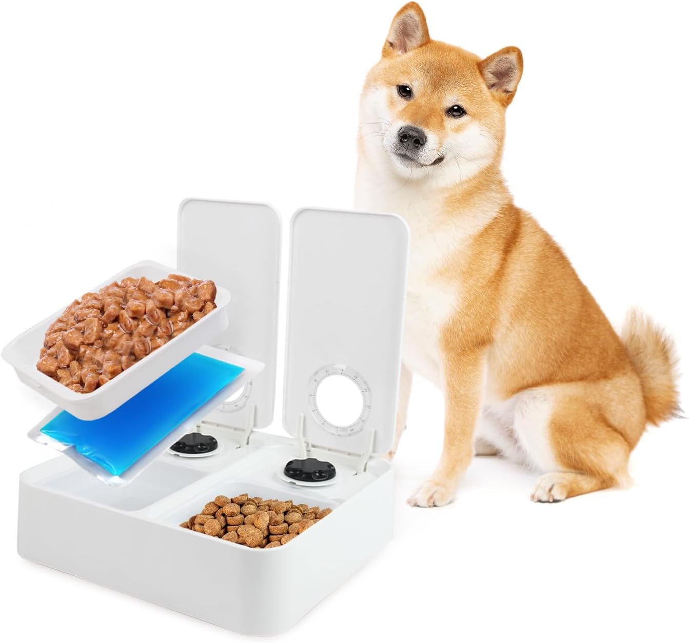 Pet Automatic Timed Feeder