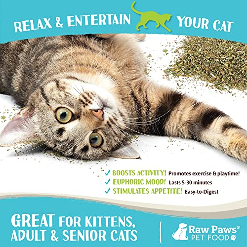 Cat Raw Paws Natural 1OZ Catnip