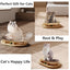 Cat Transparent Space Capsule Bed Nest