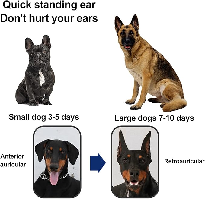 Dog Stand Up Ear Corrector