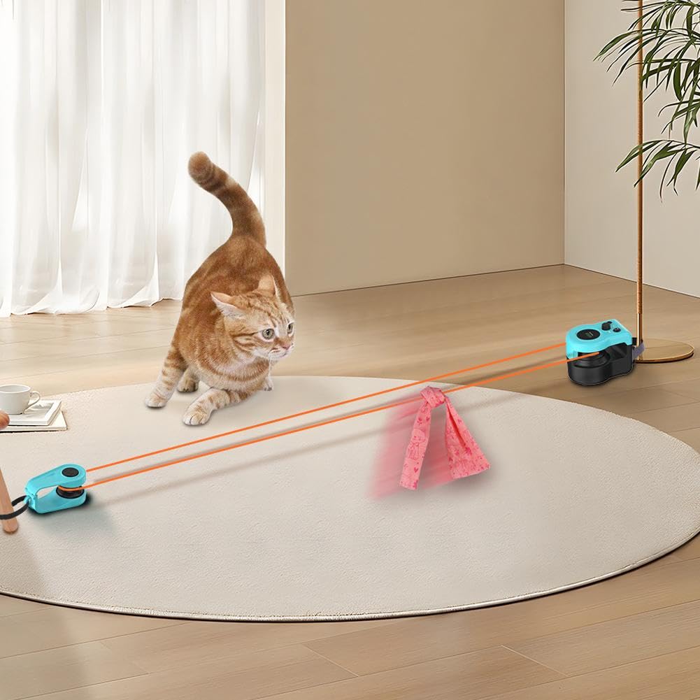 Cat Speed Hunting Remote Control Toy Game