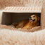 Dog Plush Enclosed Cozy Bed