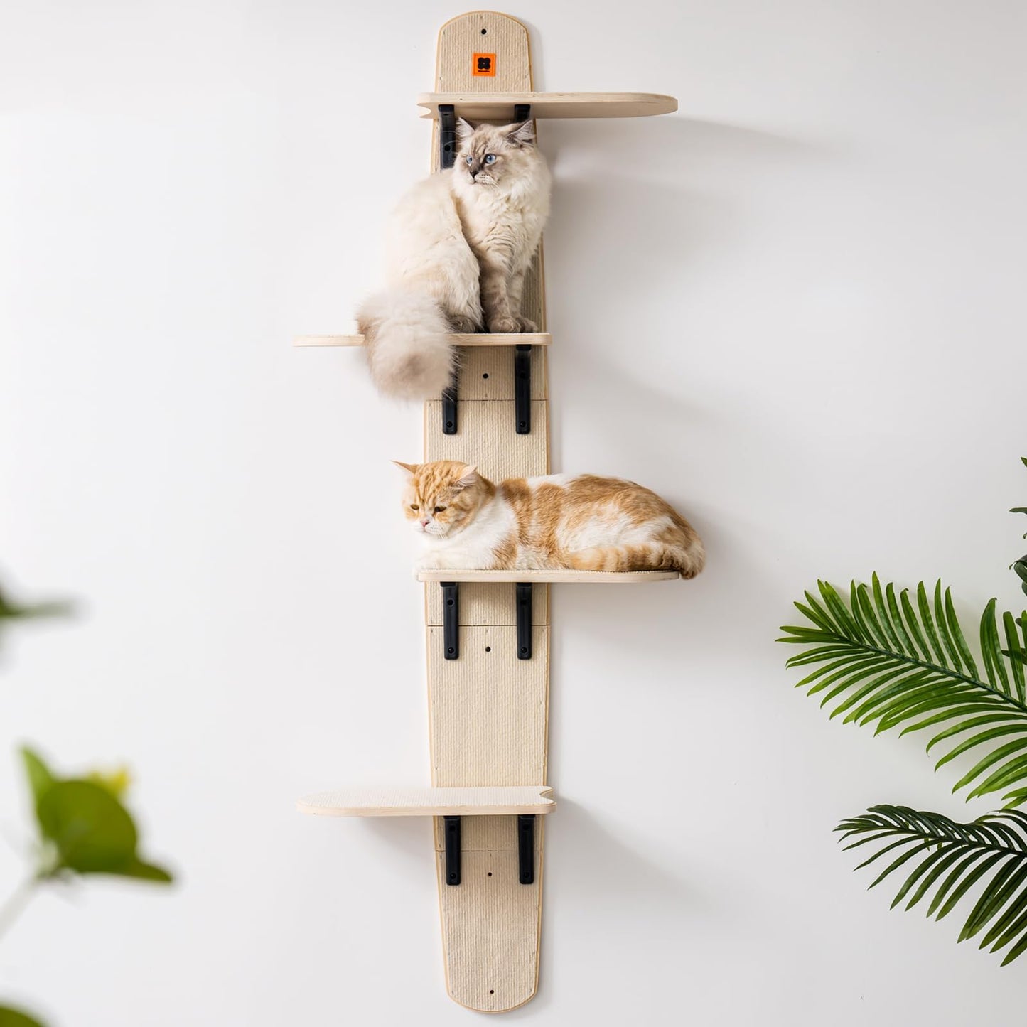 Wall Mounted Cat Climber Shelves