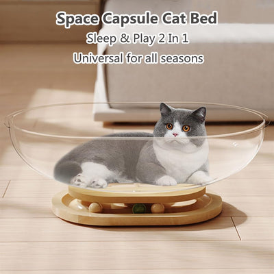 Cat Transparent Space Capsule Bed Nest