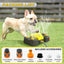 Dog Paw Activated Water Fountain Sprinkler