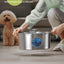 Dog Large 7L Stainless Steel Water Fountain