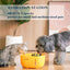 Pet 2L Smart Water Fountain