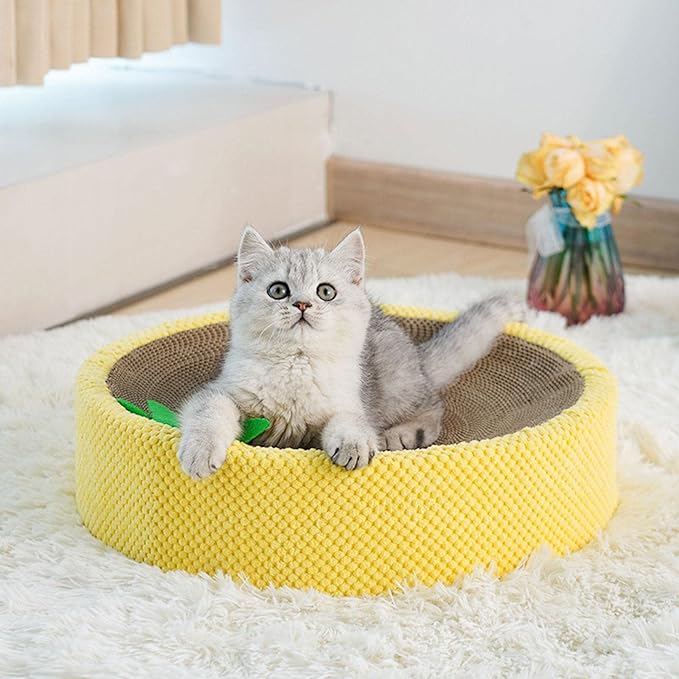 Cute Cat Scratcher Natural Sisal Bed