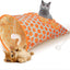 Cat Crinkle Tunnel Bag Toy