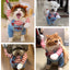 Pet Deadly Dog Costume, Cute Dog Cosplay Halloween Christmas Funny Costume Dog Clothes Party Costume for Small Medium and Large Dogs (Small)