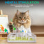 Cat Interactive Treat Puzzle Game