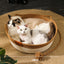 Cat Woven Rope Rattan Basket Bed