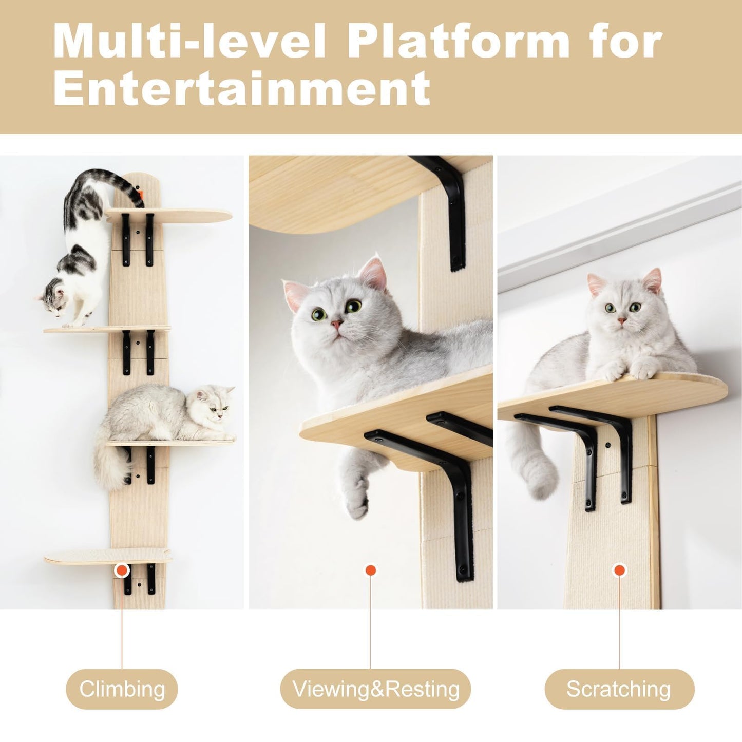 Wall Mounted Cat Climber Shelves