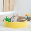 Cute Cat Scratcher Natural Sisal Bed