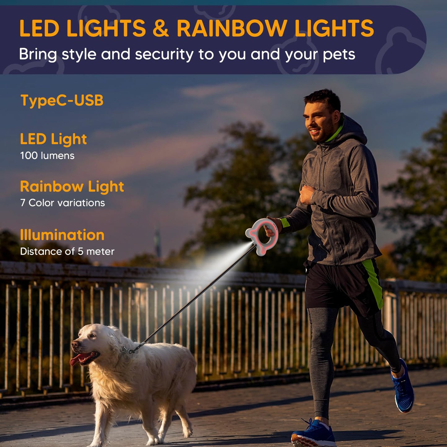 Dog Hands-Free Retractable LED Leash