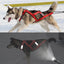 Dog Adjustable Chest Support Harness