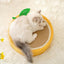 Cute Cat Scratcher Natural Sisal Bed