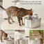 Pet Wireless 4L Water Fountain