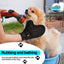 Pet Deshedding Pin Tip Brushing Glove