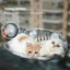 Cat Transparent Window Perch Nest