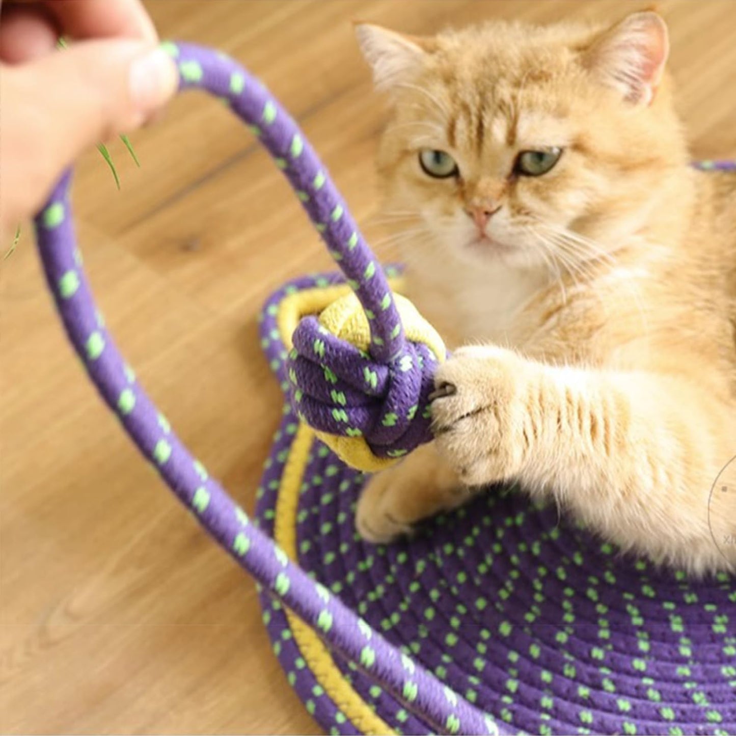 Cat Natural Cotton Rope Scratch Pad