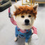 Pet Deadly Dog Costume, Cute Dog Cosplay Halloween Christmas Funny Costume Dog Clothes Party Costume for Small Medium and Large Dogs (Small)