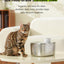 Pet Wireless 4L Water Fountain