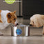 Dog Large 7L Stainless Steel Water Fountain