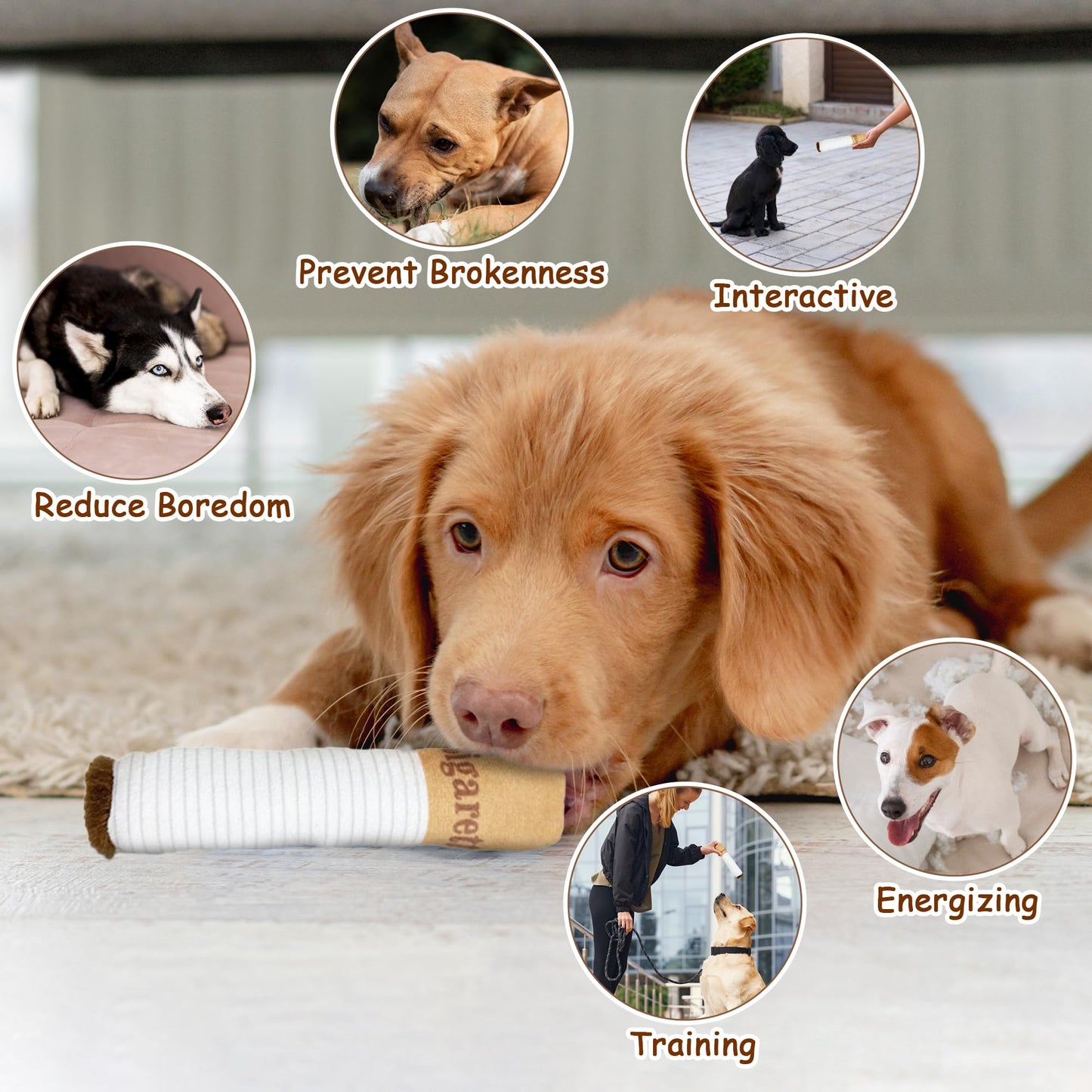 Dog Teething Squeaky Cigarettes Box Toy